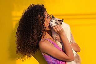 Hypoallergenic Cats for Sniffle Free Snuggles