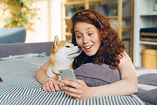 A Daily Routine for Your Pet That Works