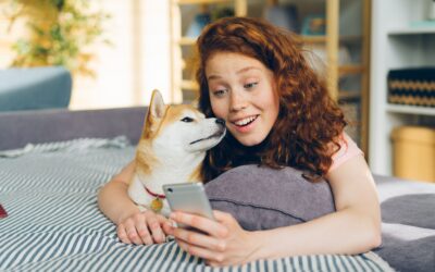 A Daily Routine for Your Pet That Works
