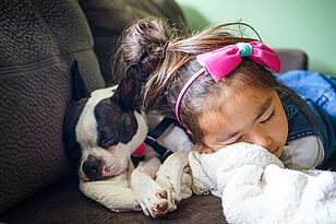 Best Dog Breeds for Families With Young Children