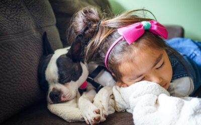 Best Dog Breeds for Families With Young Children