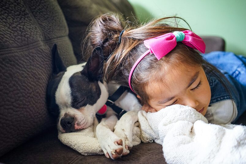 best dog breeds for families best dog breeds for families