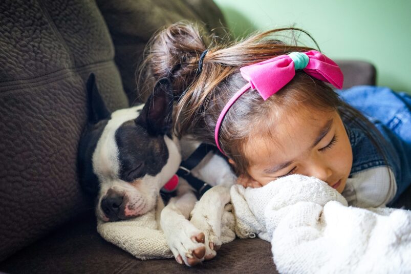 best dog breeds for families
