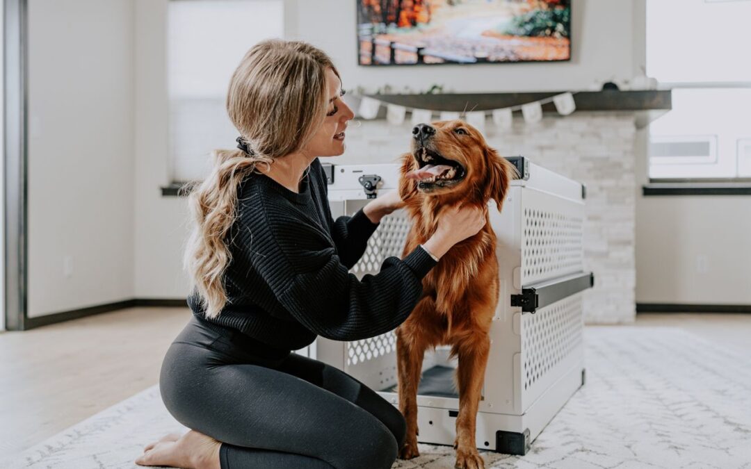 Make Crate Training Easy Fun and Stress Free