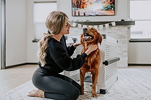 Make Crate Training Easy Fun and Stress Free