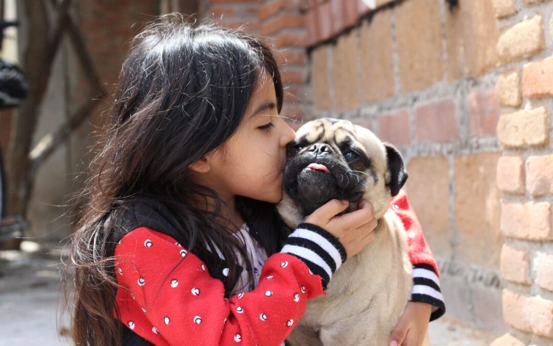 Small Dog Breeds That Thrive in Any Home