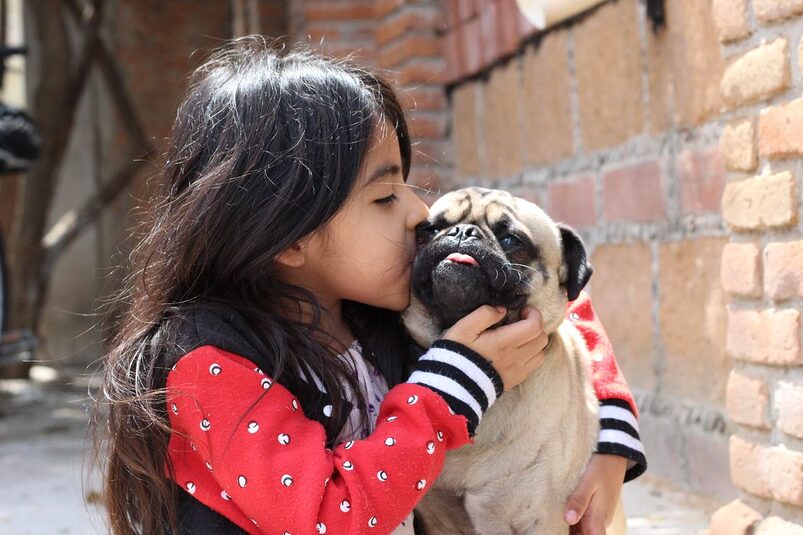 small-dog-breeds small dog breeds